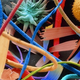 Image for article titled Photos of the Amazing and Gruesome World Under a Microscope